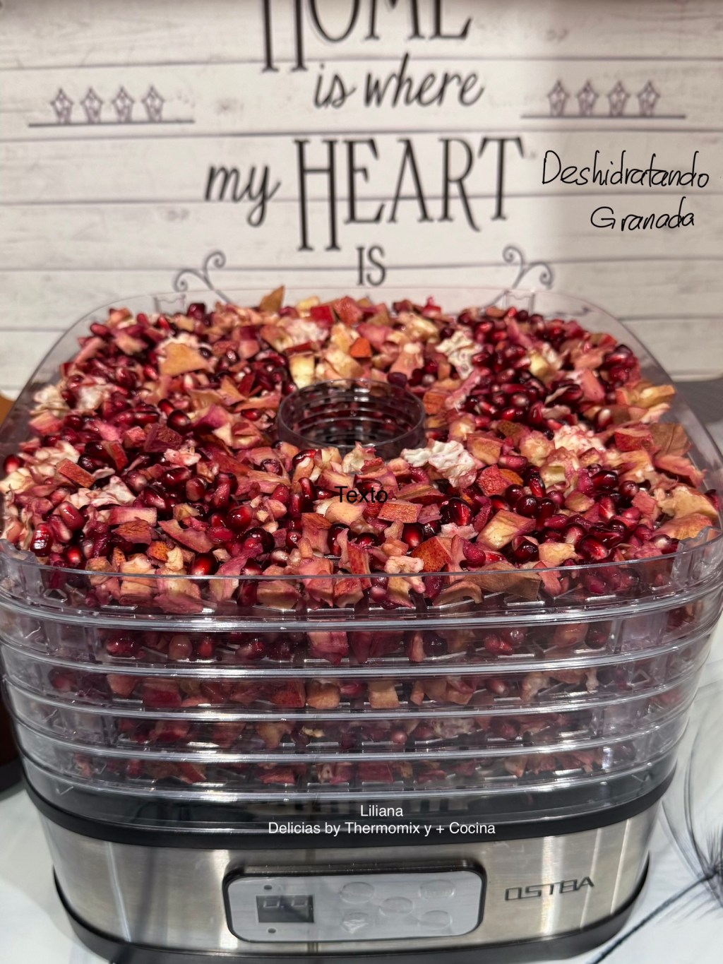 Granadas Deshidratadas